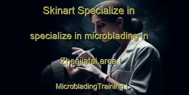 Skinart Specialize in specialize in microblading in Zhenjiatai area | MicrobladingTraining | MicrobladingClasses | SkinartTraining-China